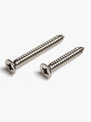 Incoloy 925 45 Screw
