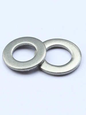 Duplex Stainless Steel S31803/S32205 Washers